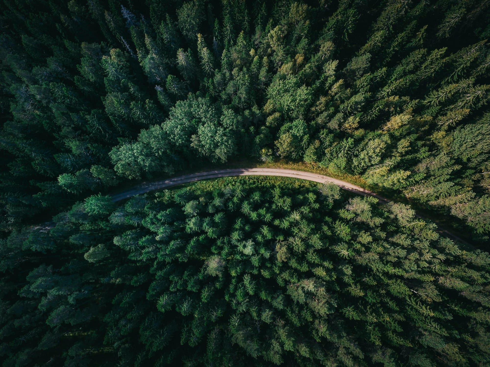 Vista aérea de mata fechada cortada por uma estrada